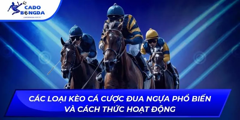 Các loại kèo cá cược đua ngựa phổ biến và cách thức hoạt động