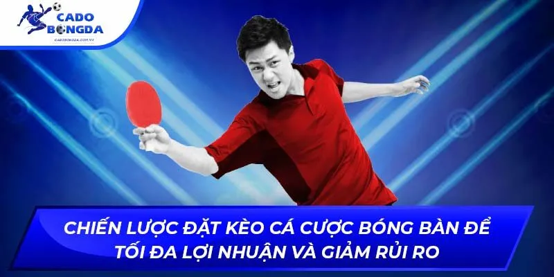 Chiến lược đặt kèo cá cược bóng bàn để tối đa lợi nhuận và giảm rủi ro