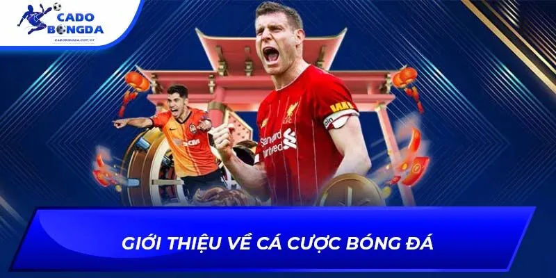 Giới thiệu về cá cược bóng đá