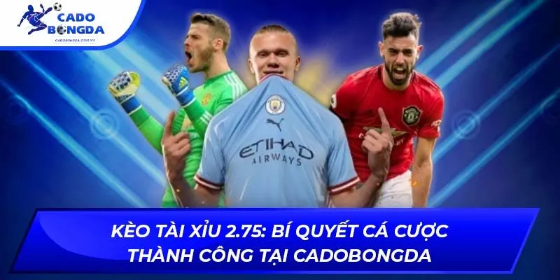 kèo tài xỉu 2.75