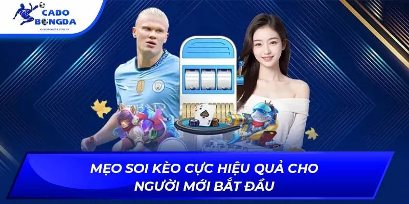 Mẹo soi kèo cực hiệu quả cho người mới bắt đầu