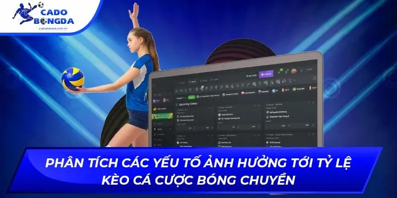 Phân tích các yếu tố ảnh hưởng tới tỷ lệ kèo cá cược bóng chuyền